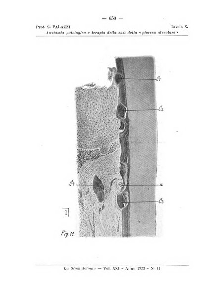 La stomatologia periodico mensile