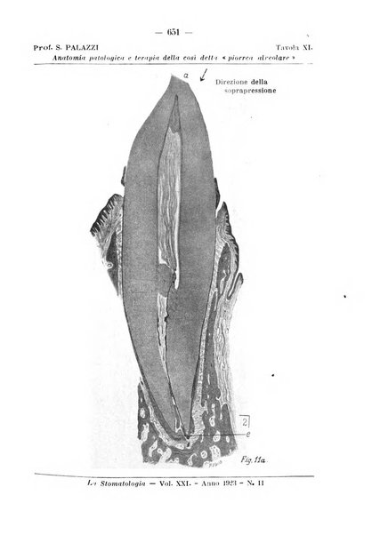 La stomatologia periodico mensile