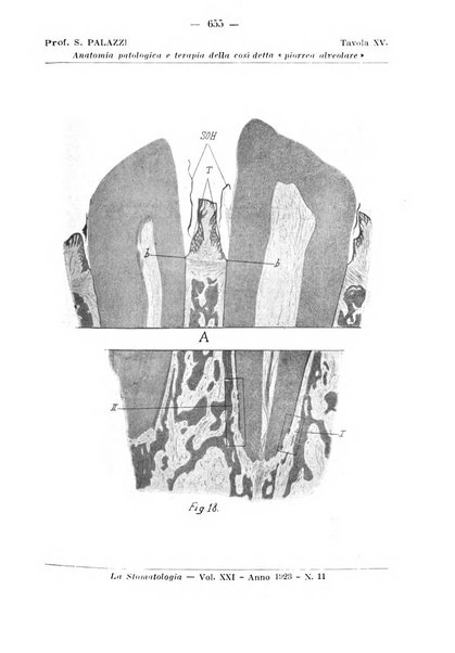 La stomatologia periodico mensile