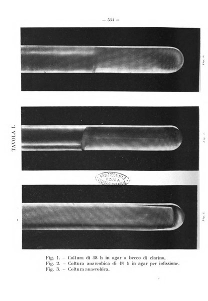 La stomatologia periodico mensile