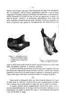 giornale/TO00195913/1925/unico/00000023