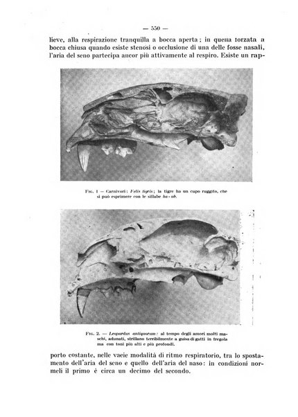 La stomatologia periodico mensile