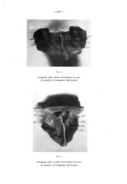 La stomatologia periodico mensile