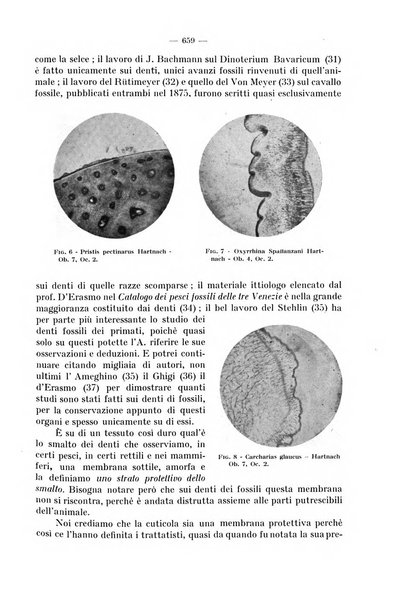 La stomatologia periodico mensile