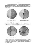 giornale/TO00195913/1925/unico/00000720