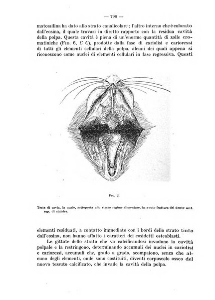 La stomatologia periodico mensile