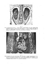 giornale/TO00195913/1925/unico/00000857