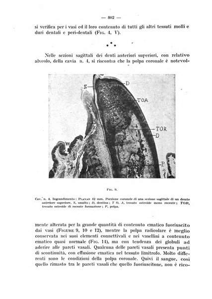 La stomatologia periodico mensile