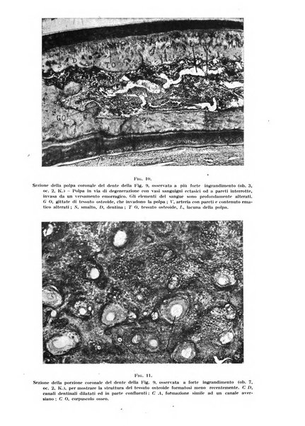 La stomatologia periodico mensile