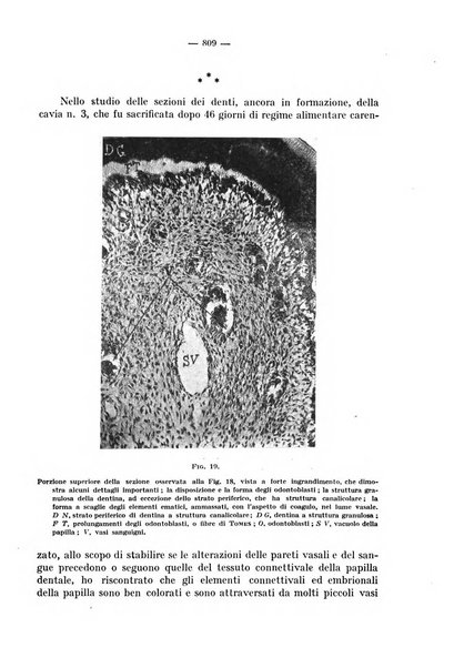 La stomatologia periodico mensile