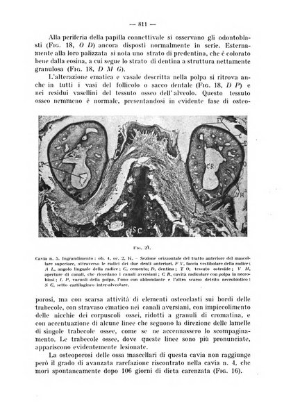 La stomatologia periodico mensile