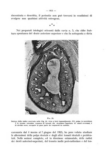 La stomatologia periodico mensile