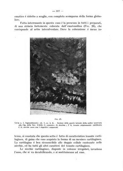 La stomatologia periodico mensile