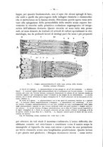 giornale/TO00195913/1927/unico/00000098