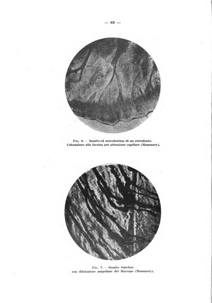 La stomatologia periodico mensile