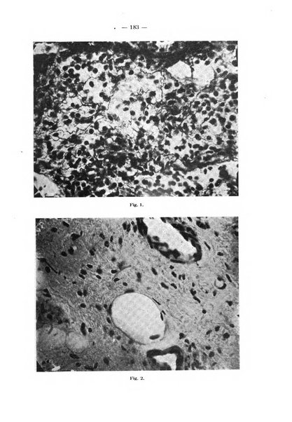 La stomatologia periodico mensile