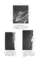 giornale/TO00195913/1928/unico/00000045