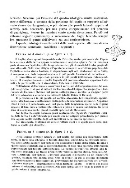 La stomatologia periodico mensile