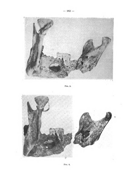 La stomatologia periodico mensile