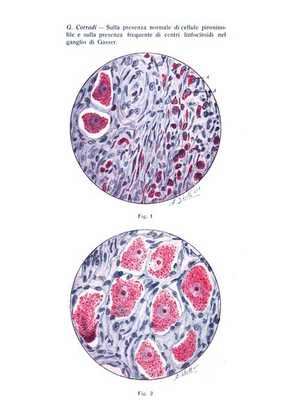 La stomatologia periodico mensile