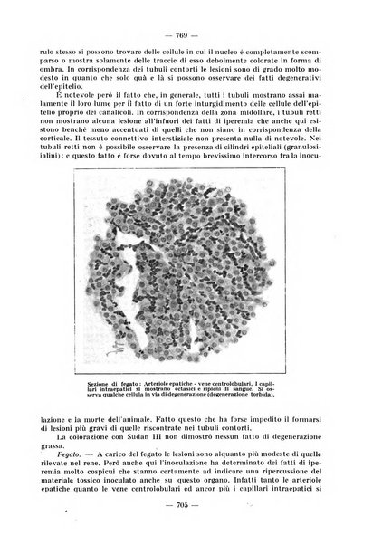 La stomatologia periodico mensile