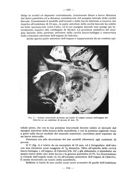 La stomatologia periodico mensile