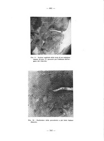 La stomatologia periodico mensile