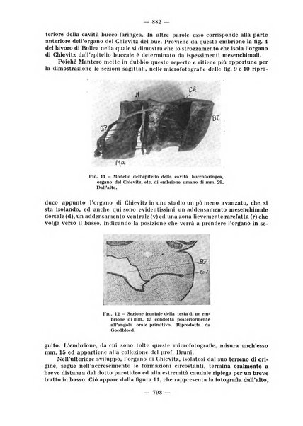 La stomatologia periodico mensile