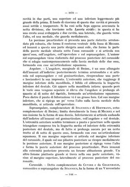 La stomatologia periodico mensile