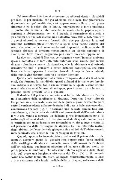 La stomatologia periodico mensile