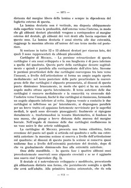 La stomatologia periodico mensile