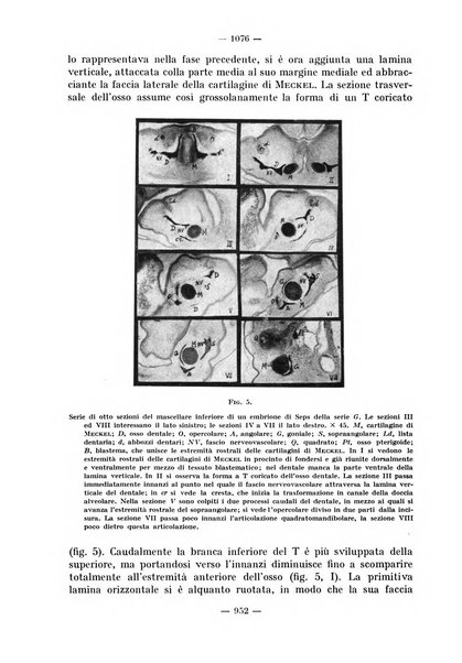 La stomatologia periodico mensile