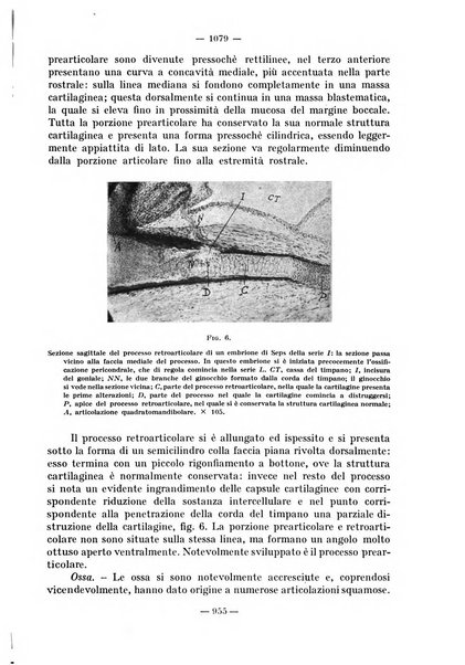 La stomatologia periodico mensile