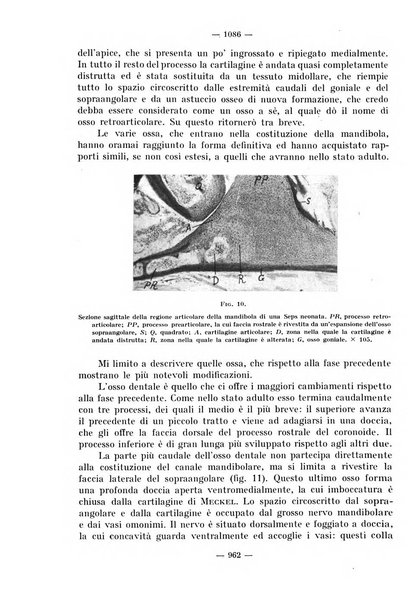 La stomatologia periodico mensile