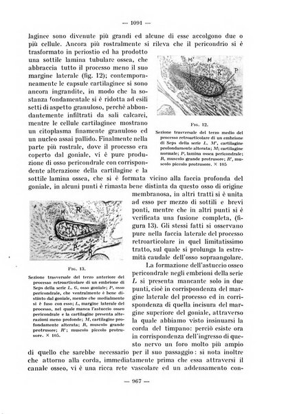 La stomatologia periodico mensile