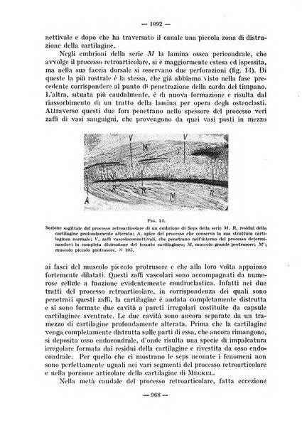 La stomatologia periodico mensile