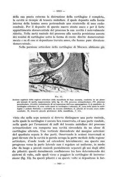 La stomatologia periodico mensile