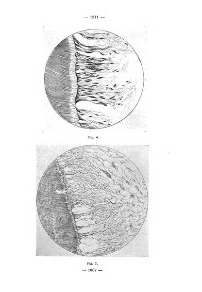 La stomatologia periodico mensile