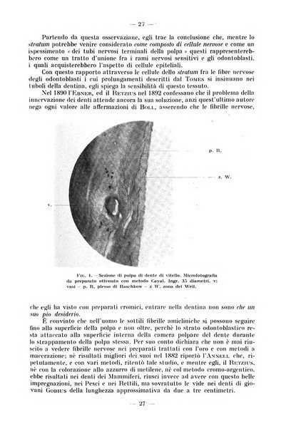 La stomatologia periodico mensile