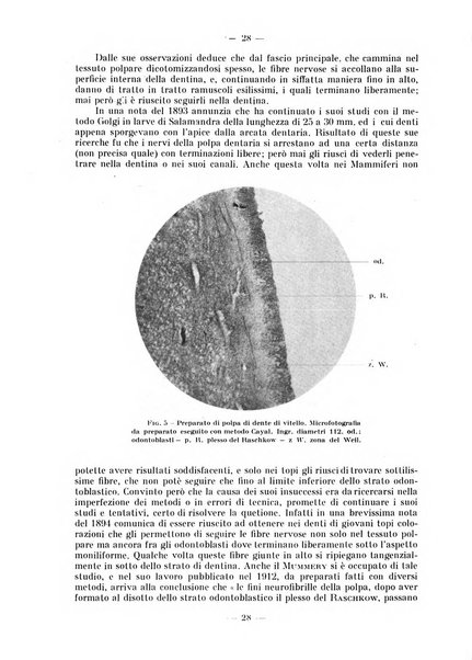 La stomatologia periodico mensile