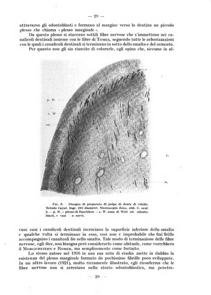 La stomatologia periodico mensile