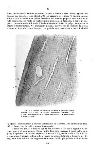 La stomatologia periodico mensile