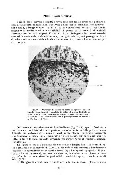 La stomatologia periodico mensile