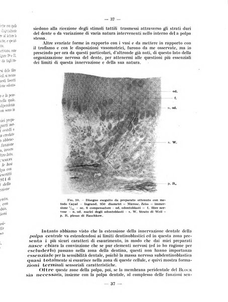 La stomatologia periodico mensile