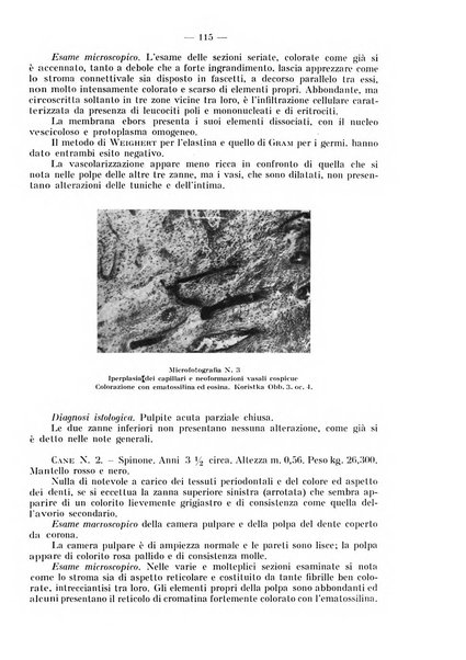 La stomatologia periodico mensile