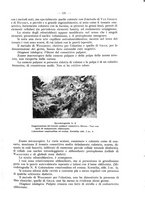 giornale/TO00195913/1929/unico/00000151