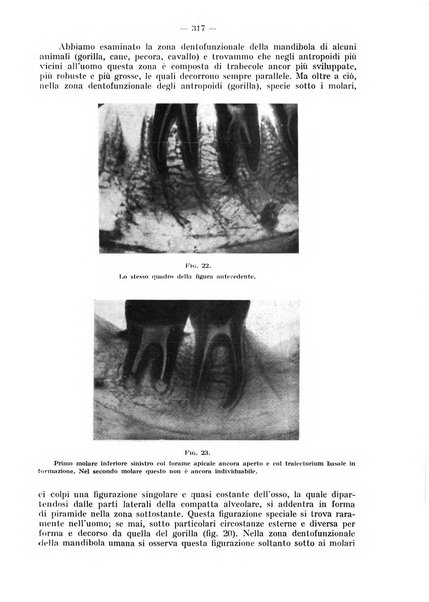 La stomatologia periodico mensile