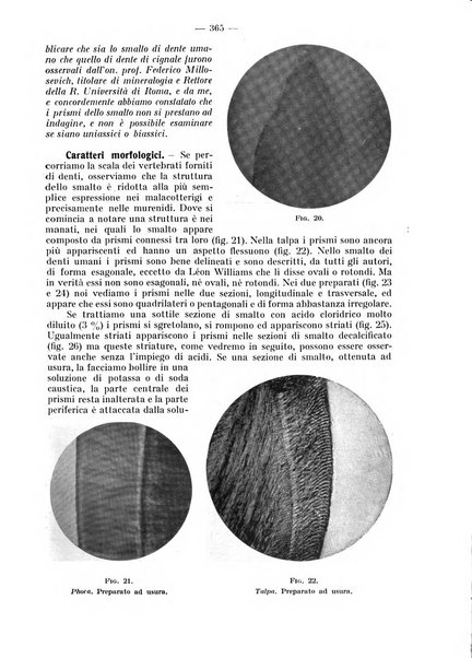 La stomatologia periodico mensile