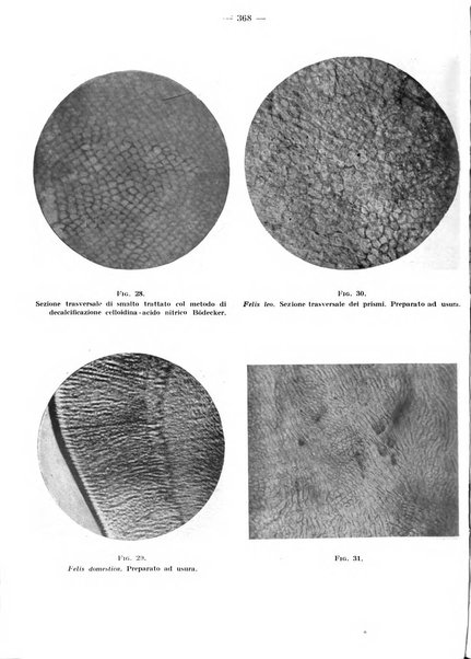 La stomatologia periodico mensile