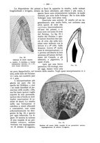 giornale/TO00195913/1929/unico/00000411